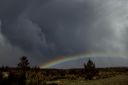 wx1149